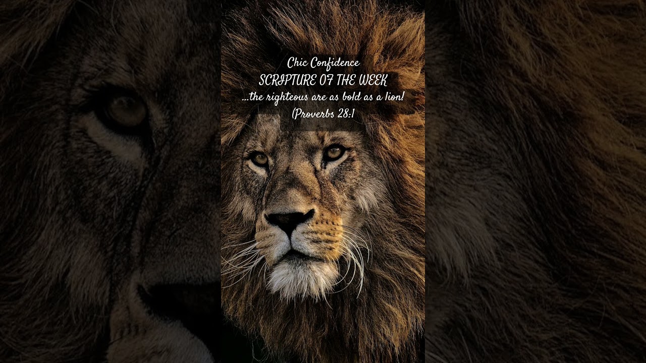 Bold As A Lion - Faith that Stands Out