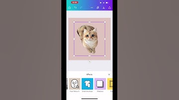 How To Create Stickers With Canva #stickerbusiness  #passiveincome #makemoneyonline
