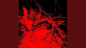 A Shell of My Former Self