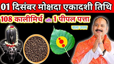 1 दिसंबर मार्गशीर्ष रविवार मोक्षदा एकादशी के दिन 108 काली मिर्च वाला उपाय जरुर करें ||pradeep mishra