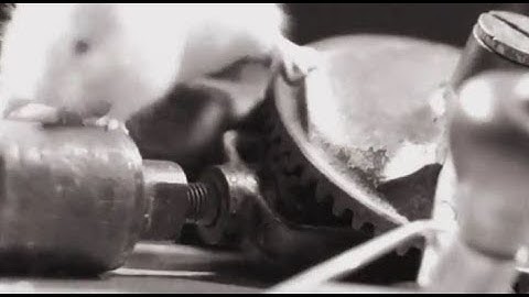 The Science of Sales