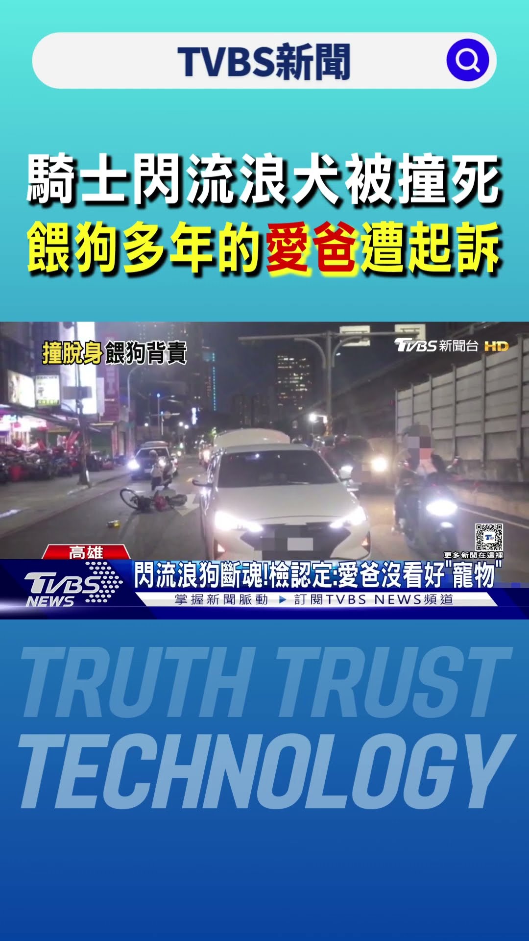 騎士閃流浪犬被撞死 餵狗多年的「愛爸」遭起訴｜TVBS新聞 @TVBSNEWS01