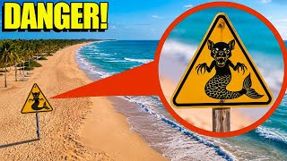 IF YOU SEE THIS SIGN ON A BEACH…STAY AWAY! 😱 (KEEP OUT OF THE WATER!)