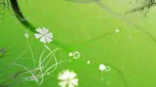 motion graphics - test