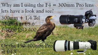 Why am I using the f4 300 pro lens for my wildlife. https://www.flickr.com/photos/mikesnewpics/