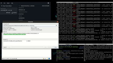 Sending bitcoin over the NYM Mixnet