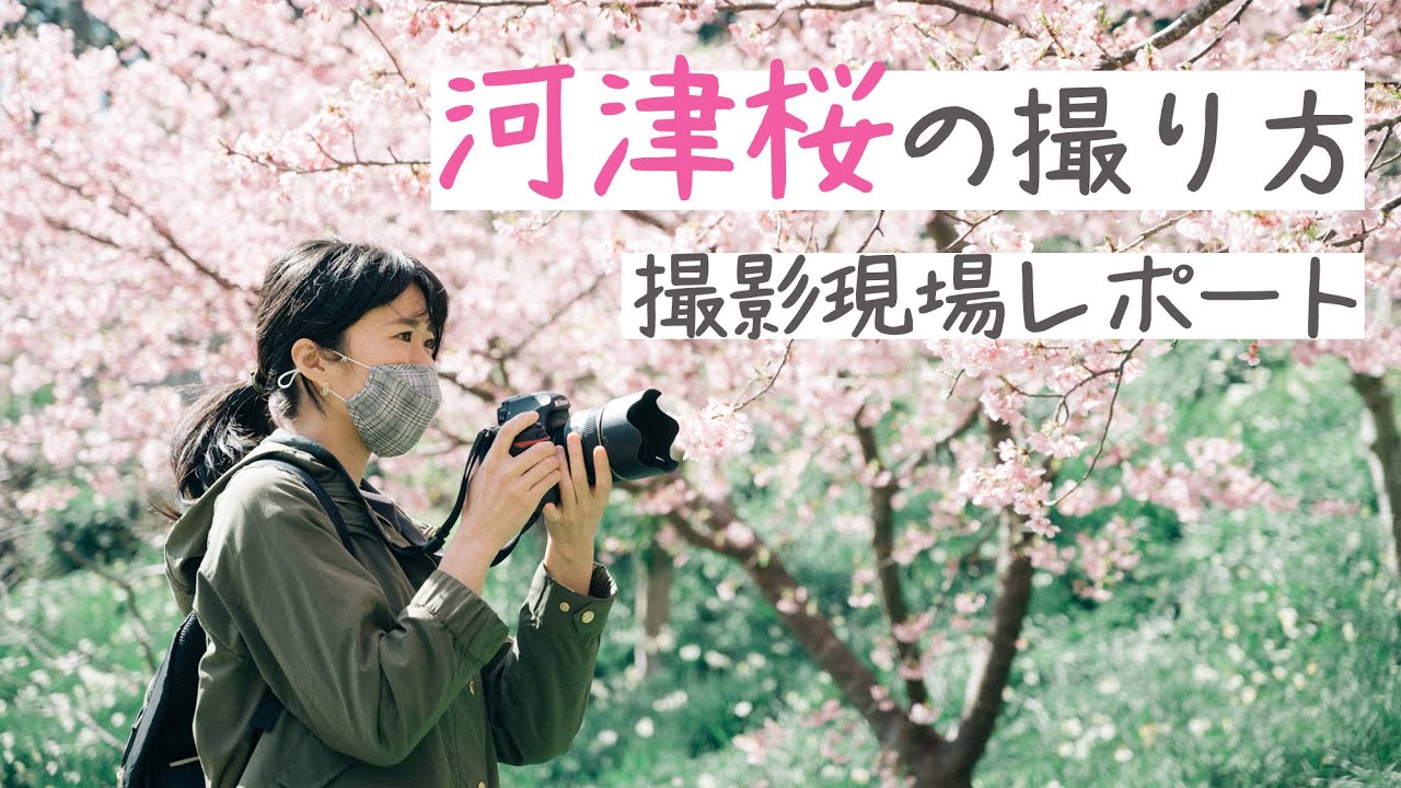 桜撮影に✨Nikon D3100✨シングルレンズ✨軽量モデル✨入門モデル Nikon デジタル一眼レフカメラ D3100