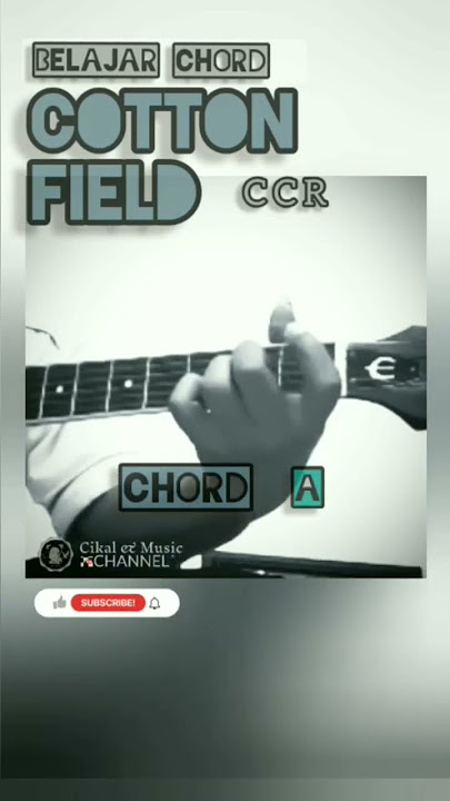 Cotton Field #belajargitar #fingerstyle #acousticguitar #coverguitar #shortsvideo #shorts #short