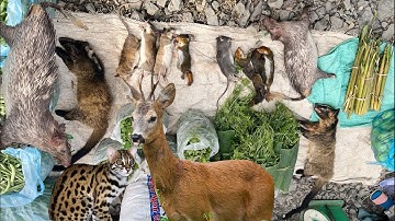 CHỢ PHIÊN BIÊN GIỚI BÁN TOÀN ĐỒ LẠ | Miền núi tây bắc