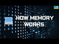 Understanding Computer Memory in Programming (Explained in Kinyarwanda)