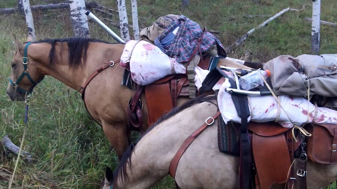 Packing out Elk - YouTube