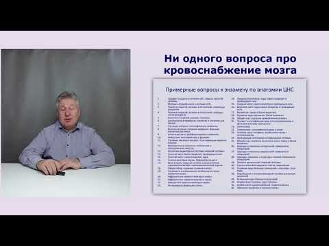 Почему винпоцетин не действует на сосуды мозга?