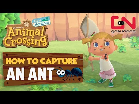 Comment attraper une fourmi - Animal Crossing New Horizons