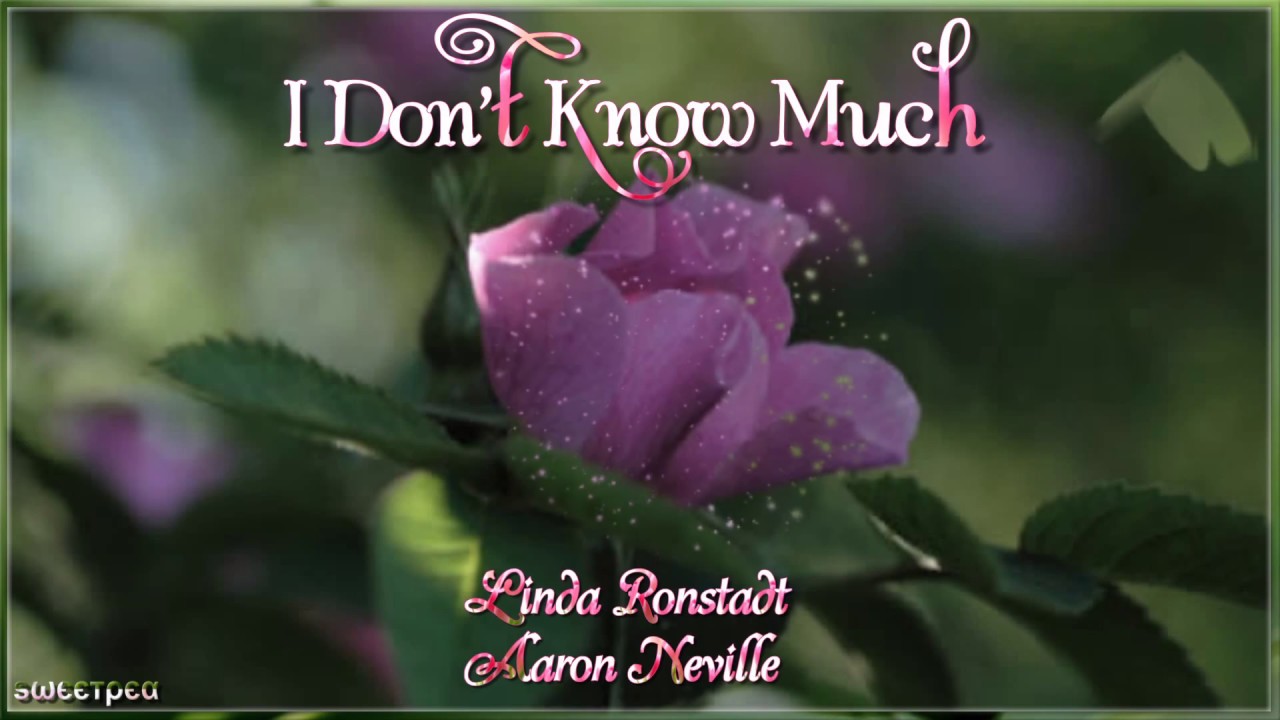 linda-ronstadt-aaron-neville-i-don-t-know-much-youtube