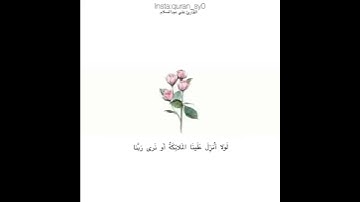 قرآن كريم||تلاوة رائعة للقارئ علي عبدالسلام اليوسف||حالات واتساب
