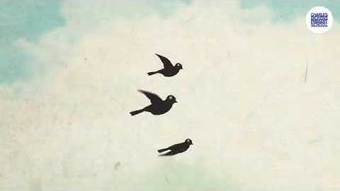 Managing change and transition