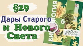 Краткий пересказ §29 Дары Нового и Старого Света. Биология 6 класс Пономарева Корнилова