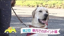 まさはる君が行く ポチたまペット大集合 Youtube まさはる君が行く ポチたまペット大集合 Youtube