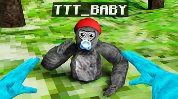 The YOUNGEST Gorilla Tag Pro!