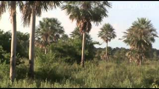 Rescate De Fidel Zavala Completo - Epp - Ultimahora.com