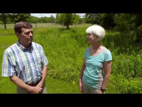 Video: Prairie Smoke Wildflower: Jak zasadit Prairie Smoke