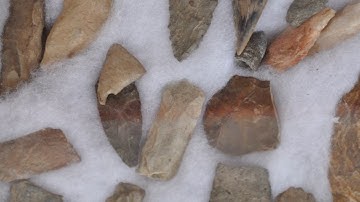 Indian Arrowhead & Artifact Display Cases  wanted in Doylestown       at a Tree Farm