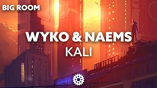 WYKO & NAEMS - Kali