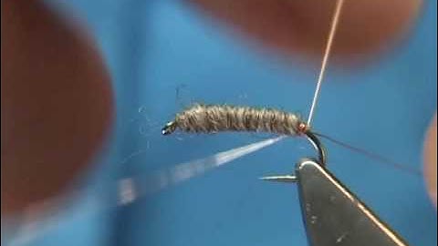 Tying Frank Sawyer