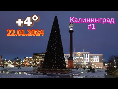 #1 #калининград 22.01.2024     +4°     Центральная площадь, верхнее озеро,  слякоть и дождь