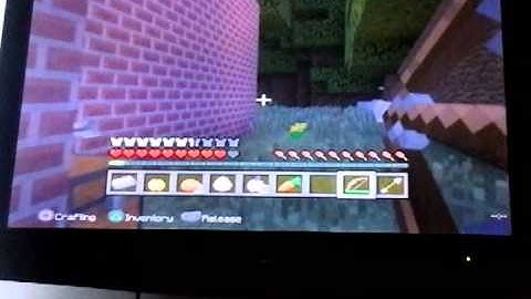 Minecraft ps3 hunger games #2
