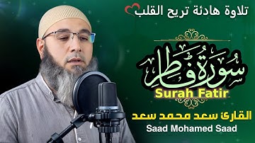 سورة فاطر  { كاملة } (Surah Fatir ) من روائع الختمة المرتلة