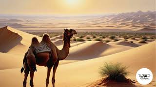 Araléz - Desert Sun Camel Vip Records