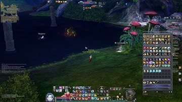 Aion EU - Gameforge - Capturing Botters