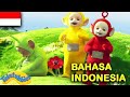 ★Teletubbies Bahasa Indonesia★ Lari-Lari - Memperbaiki - Diam | Kompilasi Kartun Lucu BARU