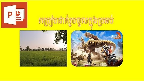 របៀបដាក់រូបភាពនៅក្នុង Shape PowerPoint