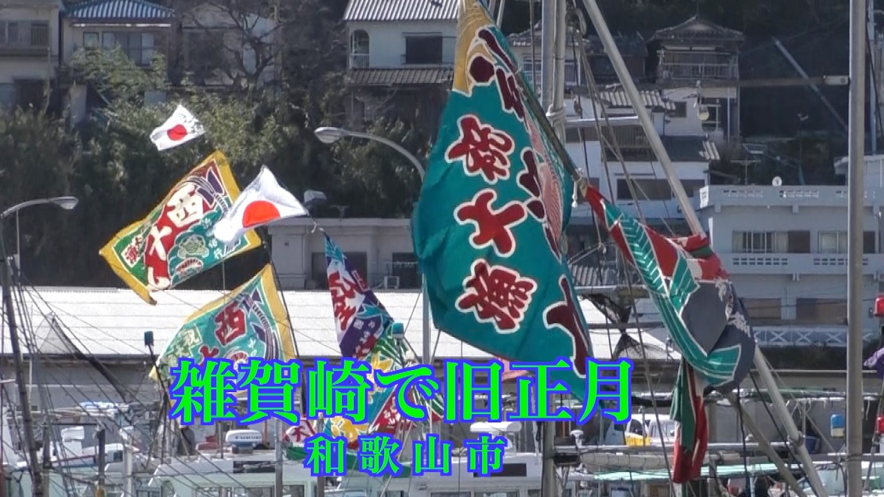 雑賀崎で旧正月。和歌山市の漁港、日本のアマルフィと言われる雑賀崎(さいかざき)では今も旧正月を祝います。2026年は2月17日が元日でした。漁船には大漁旗があげられた。#雑賀崎#旧正月#大漁旗