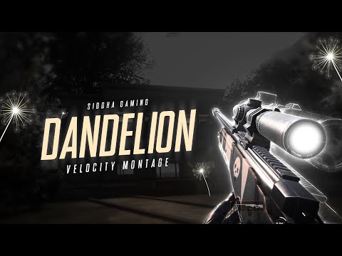 @RuthB Dandelions Best BGMI Velocity Loop Edit Montage | Siddha Edits