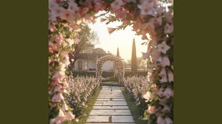 Foxglove Lane in Golden Afternoon