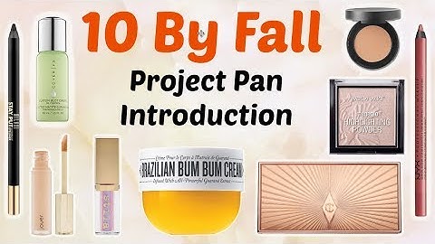 Project Pan Introduction | 10 by Fall 2019