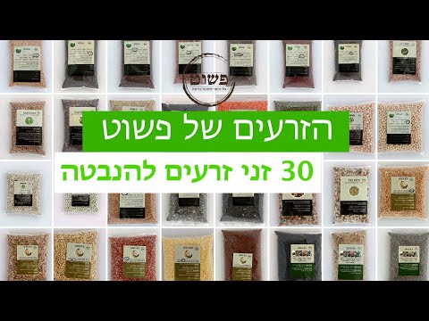 וִידֵאוֹ: וורניזציה של זרעים - מה זה?