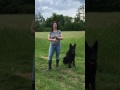 How to find top quality dog training leashes on Amazon. How to find top quality dog training leashes on Amazon.