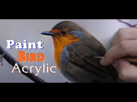 Paint Bird Acrylic- Vẽ chim sâu 3d cực sống động | Besty song