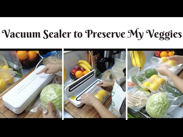 Everything you need to know about vacuum sealing –