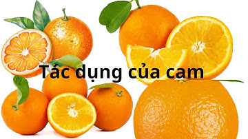 Tác dụng của quả cam