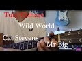 Cours de guitare Pop - Wild World - Cat Stevens - Mr Big