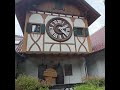 Cuckoo Clock, Black Forest, Germany, Expat Explore Travel from Christene M. 🇩🇪