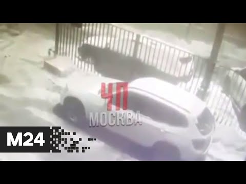 Девушка порезала шины у десятка автомобилей в Замоскворечье - Москва 24