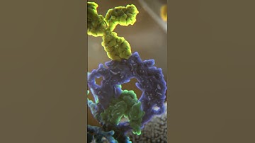 Enjoy your SciArt clip! | Science Animation