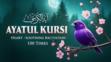 Quran for sleep | 6-Hour Ayatul Kursi with Soothing Rain, Thunder & Birds