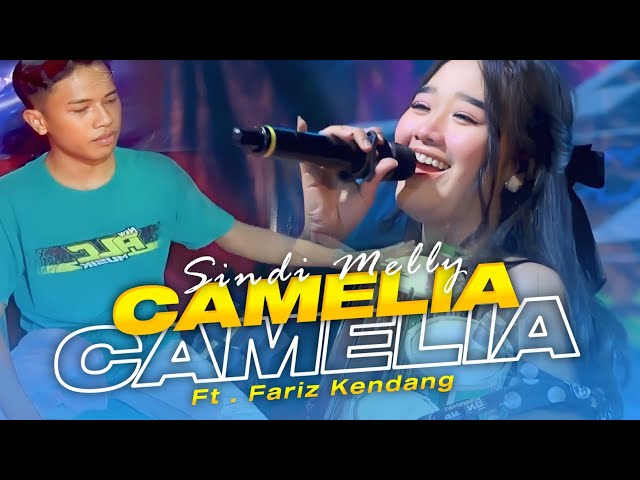 CAMELIA - SINDI MELLY COVER FARIZ KENDANG - NEW ALC MUSIC LIVE PACET MOJOKERTO class=